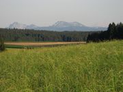 Nature (18).JPG